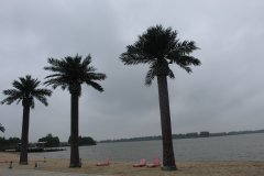 南京团建拓展趣味运动会-掌心九九