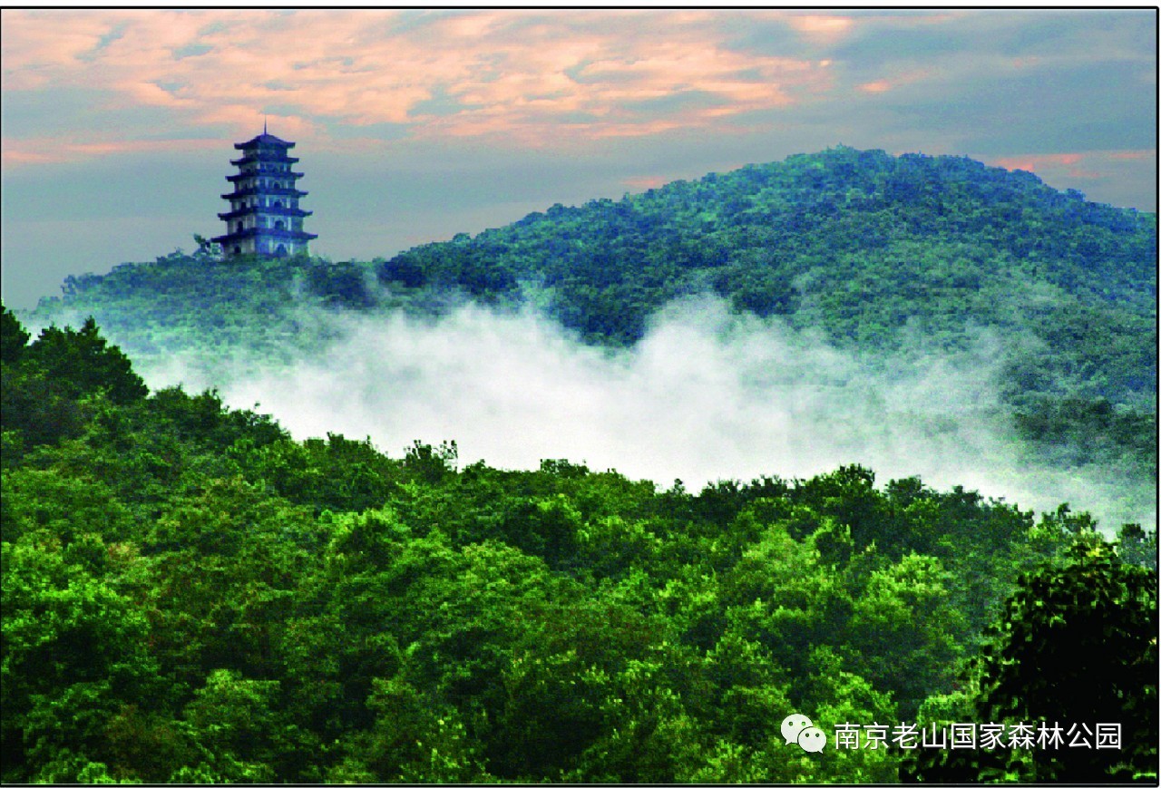 南京老山团建基地