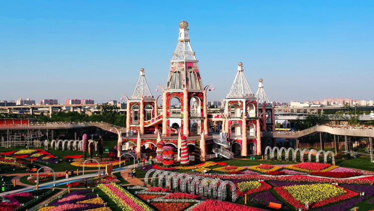 上海浦江郊野公园奇迹花园