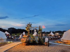 公司拓展训练心得总结怎么写