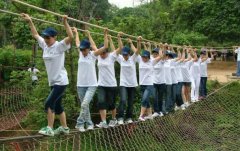 团建平台死亡大盘点