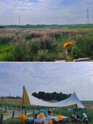 【公司团建】拓展活动、主题活动、趣味运动、