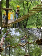 “旅行团建”为什么越来越受欢迎