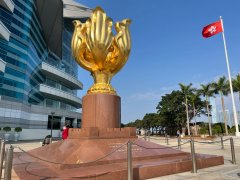 拓展团建方案大全，总有一项会适合你