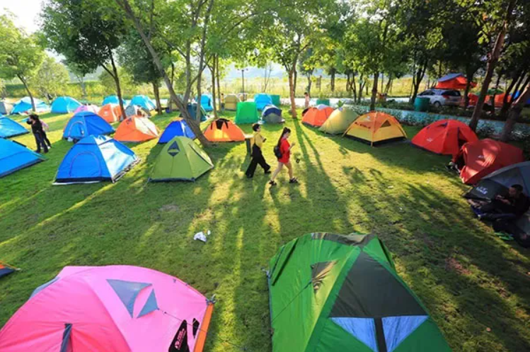 户外露营活动规则流程