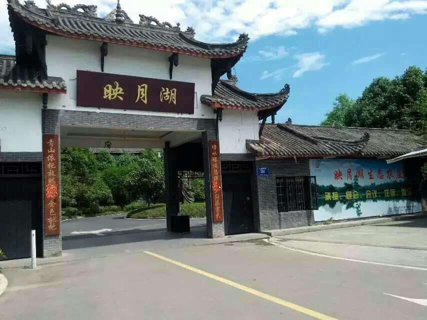 拓展训练符合现代企业管理的基本三大原理小游戏